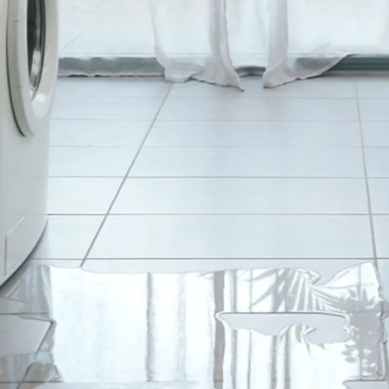 Appliance Leak Cleanup in Yosemite Valley, CA