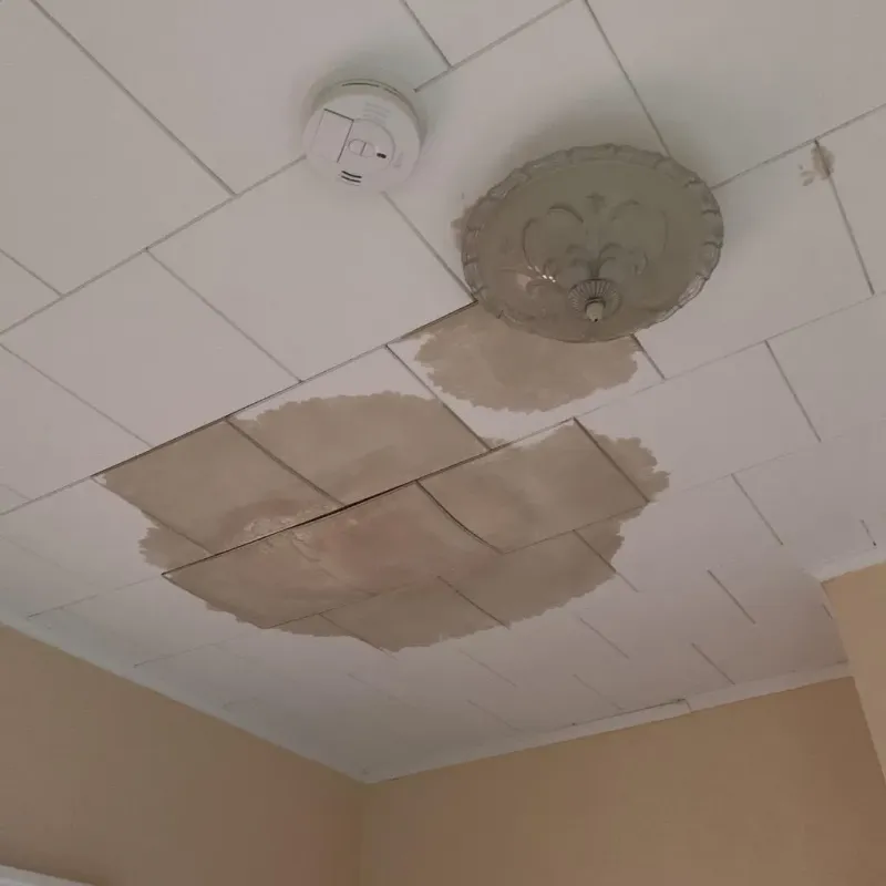 Ceiling Water Damage Repair in Yosemite Valley, CA