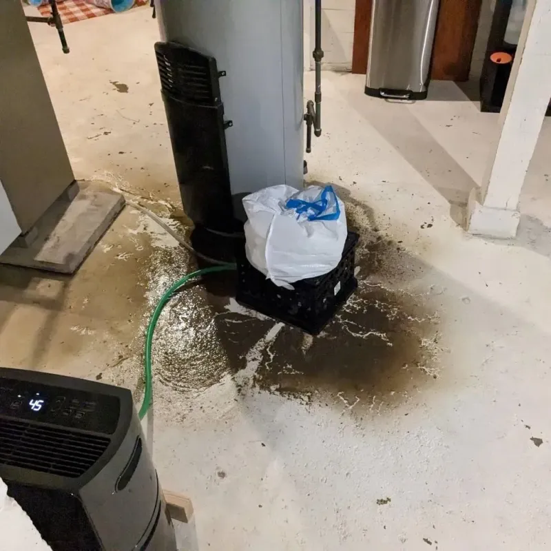 Sewage Backup Cleanup Service in Yosemite Valley, CA
